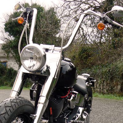 HD Softail Twin Cam 2