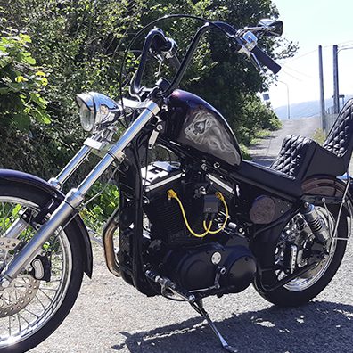 Sportster 883 Virginia