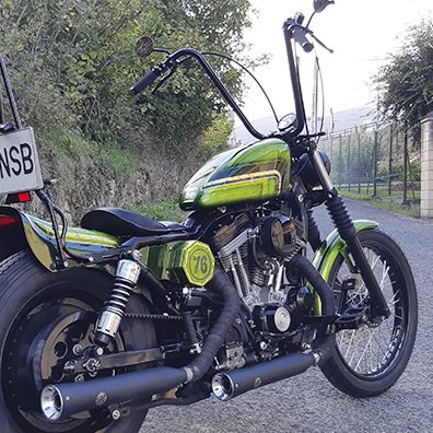 Sportster 883